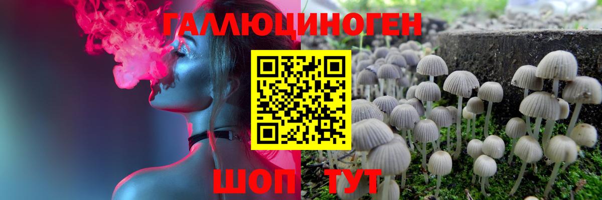 Назарово  Псилоцибиновые грибы Psilocybe  Псилоцибиновые грибы MAGIC MUSHROOMS  Вход с VPN 